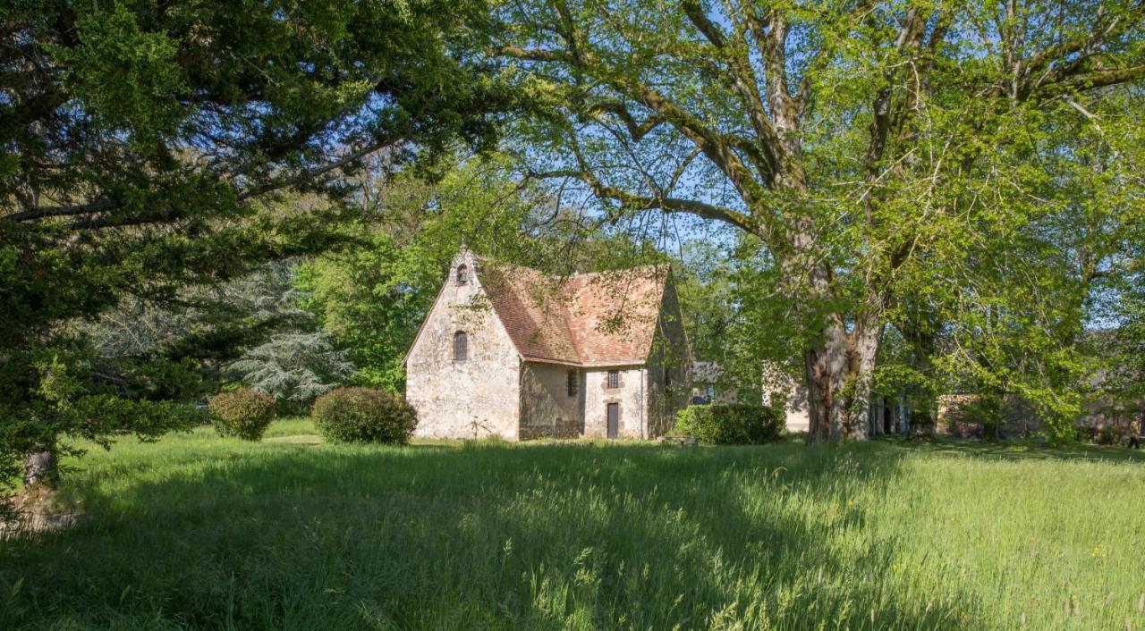 Manoir Des Etrichets Bed & Breakfast Saint-Saturnin  Exterior foto